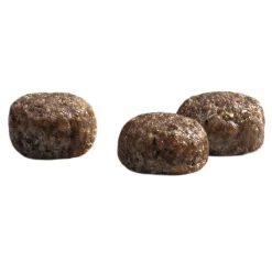 Protection Croque Mini Junior Performance Hondenvoer 10 kg^Prins Discount