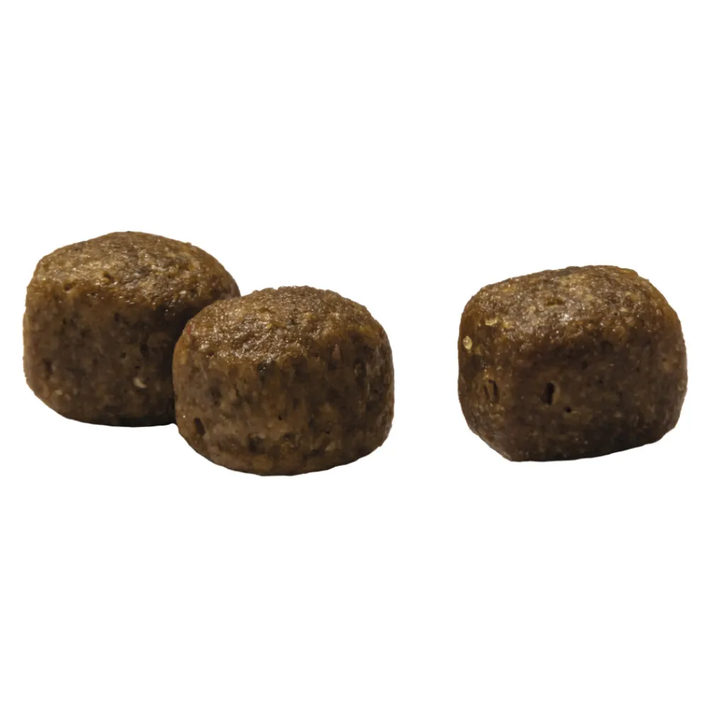 Hot VitalCare Adult Maxi Kattenvoer 10 kg Kattenvoer