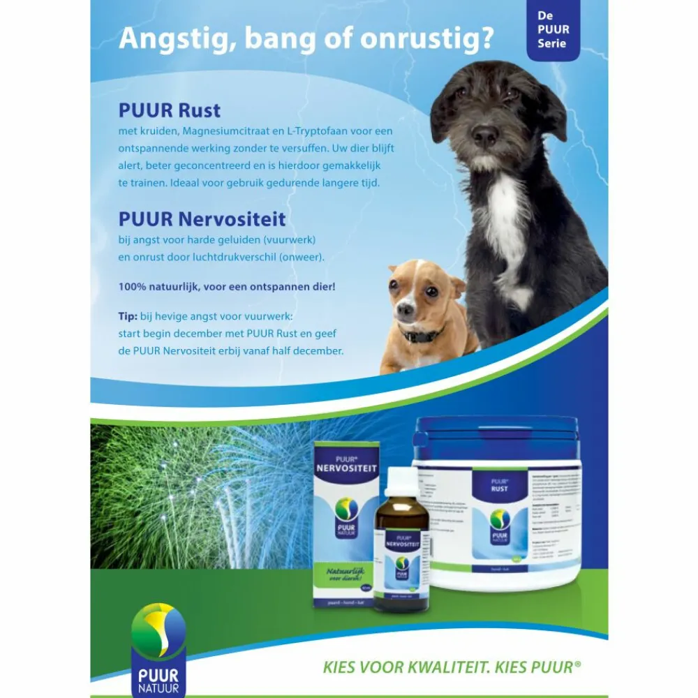 Sale Nervo 50 ml Paard