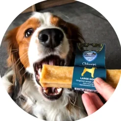 Snacks<Renske Chhurpi Himalayan Kauwkluif XL 123 gr