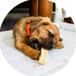 Snacks<Renske Chhurpi Himalayan Kauwkluif XL 123 gr