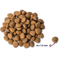 Hondenvoer<Renske Super Premium Adult Hondenvoer Kalkoen-Eend 12 kg