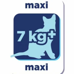 Kattenvoer<Renske Super Premium Adult Maxi Kattenvoer Oceaanvis & Zalm 6 kg