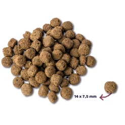 Hondenvoer<Renske Super Premium Adult Hondenvoer Oceaanvis 2 kg