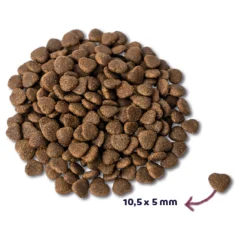 Kattenvoer<Renske Super Premium Adult Kattenvoer Zalm 6 kg