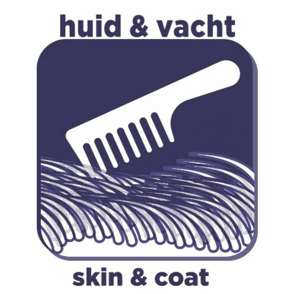 Kattenvoer<Renske Super Premium Adult Kattenvoer Zalm 6 kg