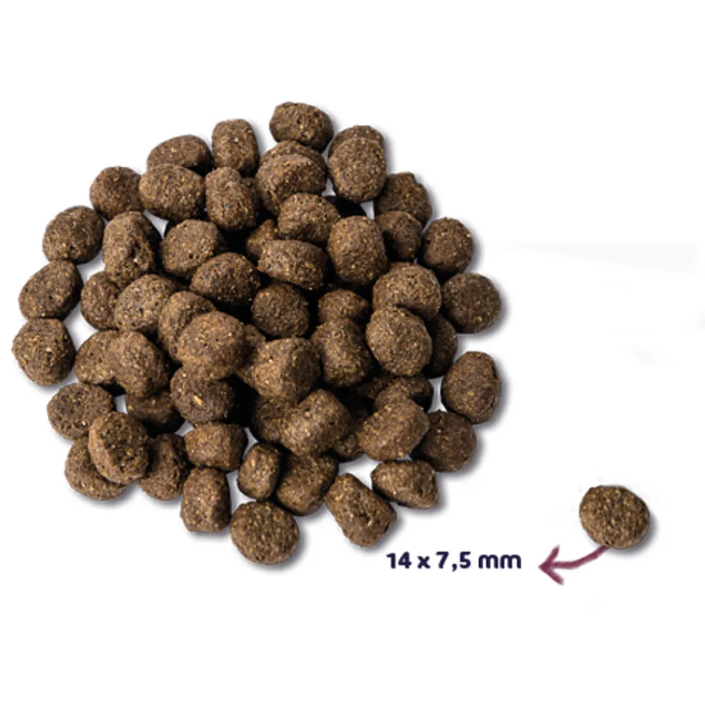 Clearance Super Premium Graanvrij Senior Hondenvoer Kalkoen 2 kg Hondenvoer