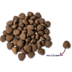 Sale Super Premium Graanvrij Adult Hondenvoer Zalm 12 kg Hondenvoer