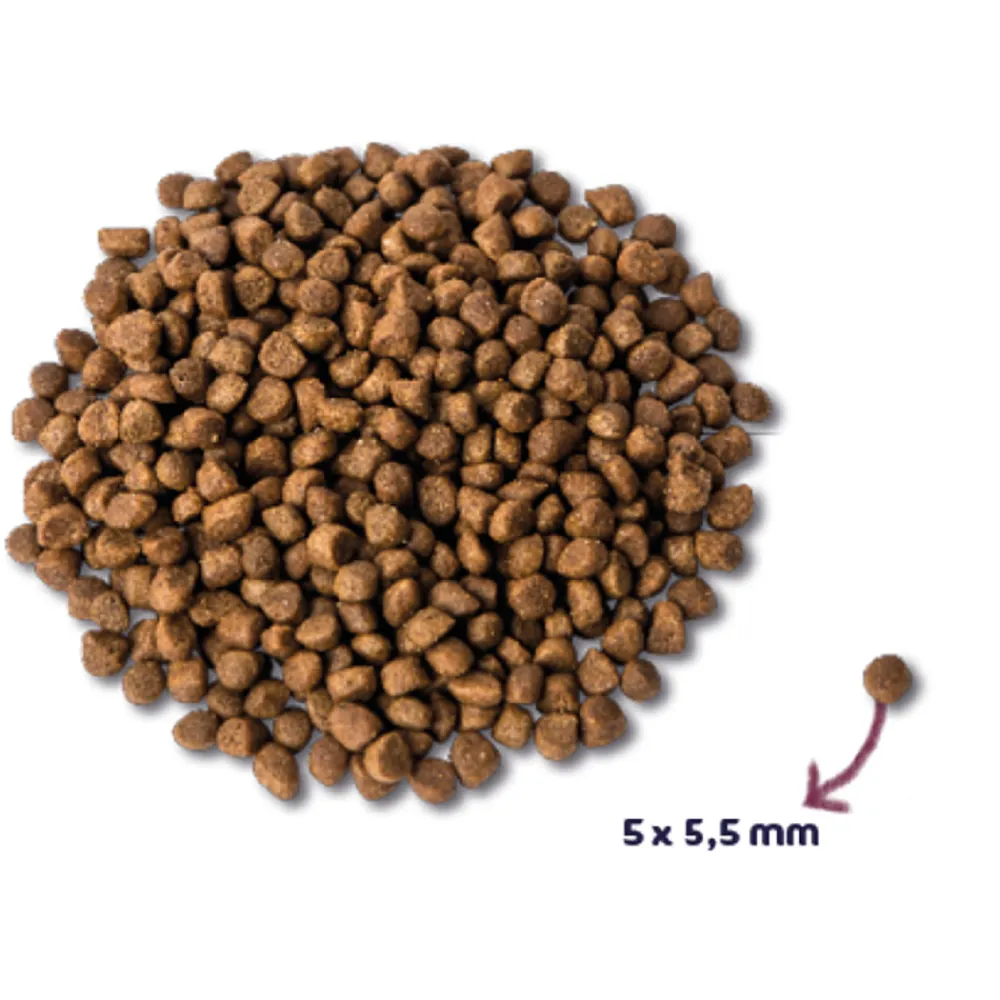 Super Premium Kitten Kattenvoer Kalkoen & Kip 6 kg^Renske New