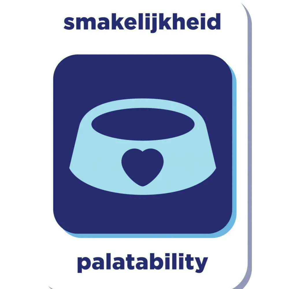 Super Premium Kitten Kattenvoer Kalkoen & Kip 6 kg^Renske New