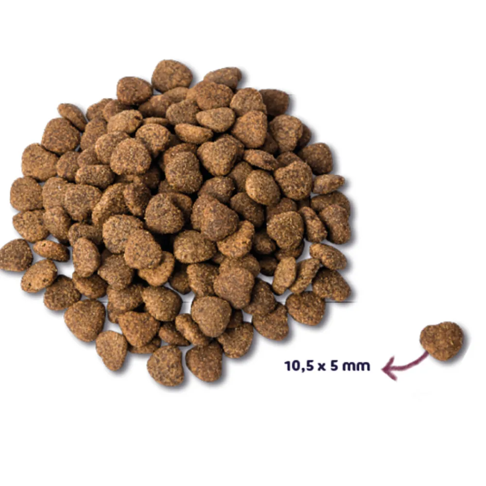 Super Premium Senior Kattenvoer Kip & Eend 1,5 kg^Renske