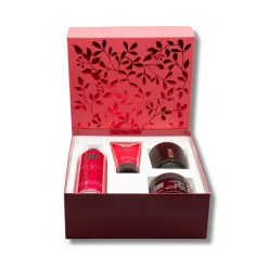 New Geschenkset M The Ritual of Ayurveda 1 set Geschenksets