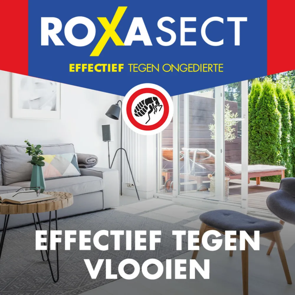 Spray tegen Vlooien 300 ml^Roxasect Sale