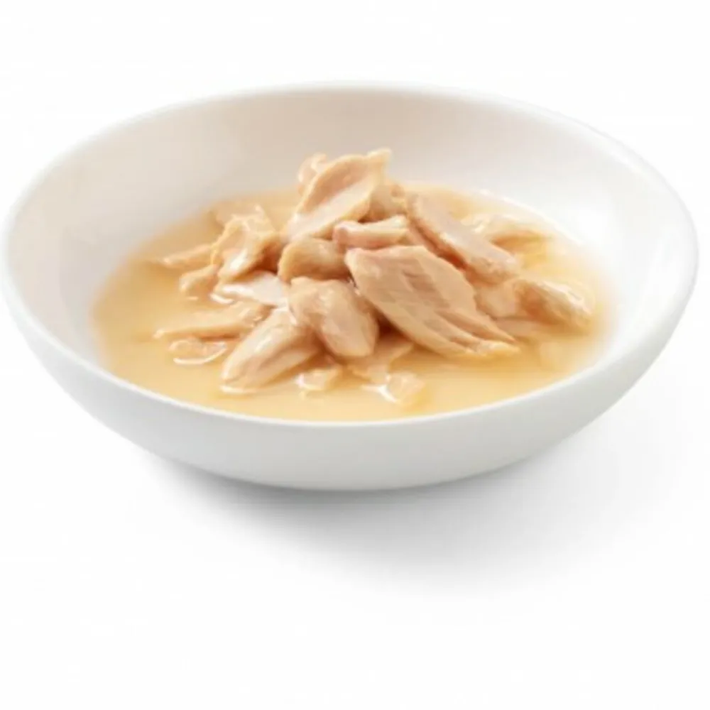 Kattenvoer<Schesir Kattenvoer Gekookte Zalm 85 gr