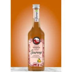 Clearance Biologische Limonade Siroop Kweepeer Rozenbottel 500 ml Siropen & Zoetstoffen