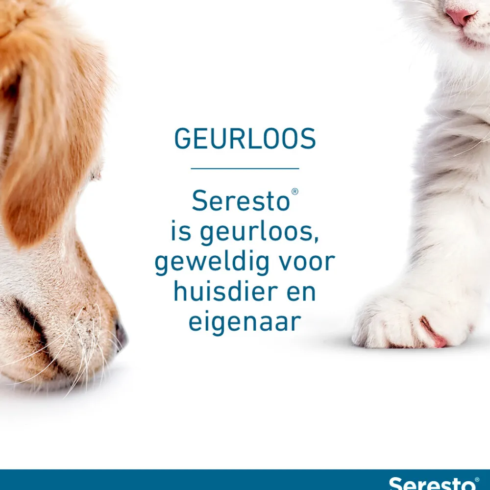 New Anti Vlooien en Teken Halsband Hond Tot 8 kg 38 cm Vlo, Teek & Worm