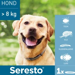 Vlo, Teek & Worm<Seresto Anti Vlooien en Teken Halsband Hond Vanaf 8 kg 70 cm