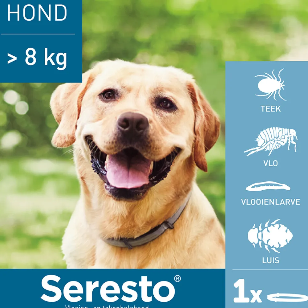 Vlo, Teek & Worm<Seresto Anti Vlooien en Teken Halsband Hond Vanaf 8 kg 70 cm