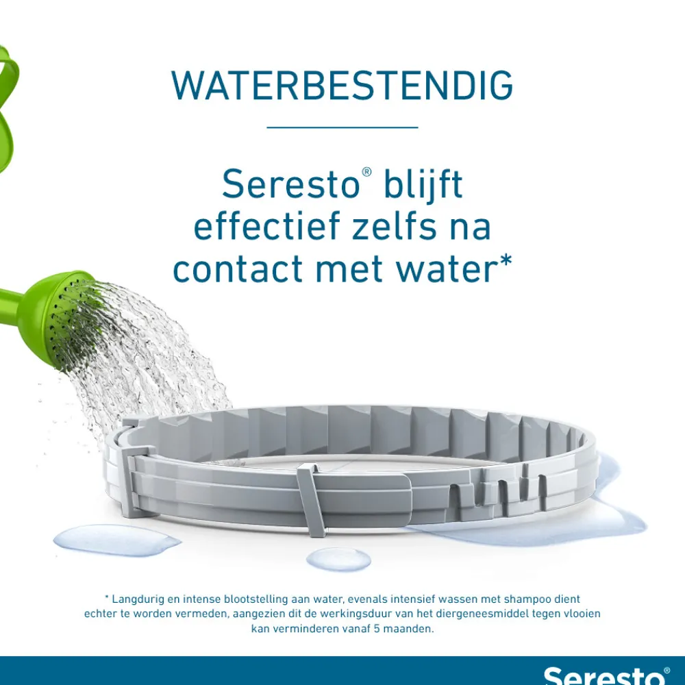 Anti Vlooien en Teken Halsband Hond Tot 8 kg 2-pack 38 cm^Seresto Best