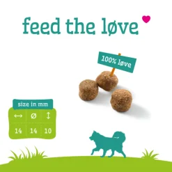 New Hondenvoer Adult Graanvrij 3 kg Hondenvoer