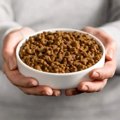 Kattenvoer Adult Kip 4 kg^Smolke Clearance