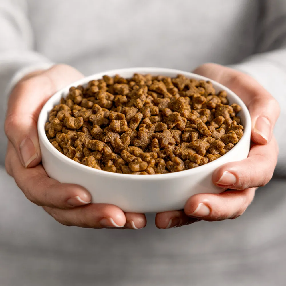 Kattenvoer Adult Kip 2 kg^Smolke Clearance