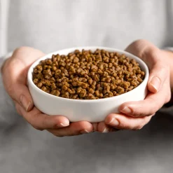 Kattenvoer Kitten 4 kg^Smolke Outlet