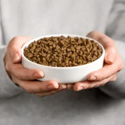 New Kattenvoer Senior Kip 4 kg Kattenvoer