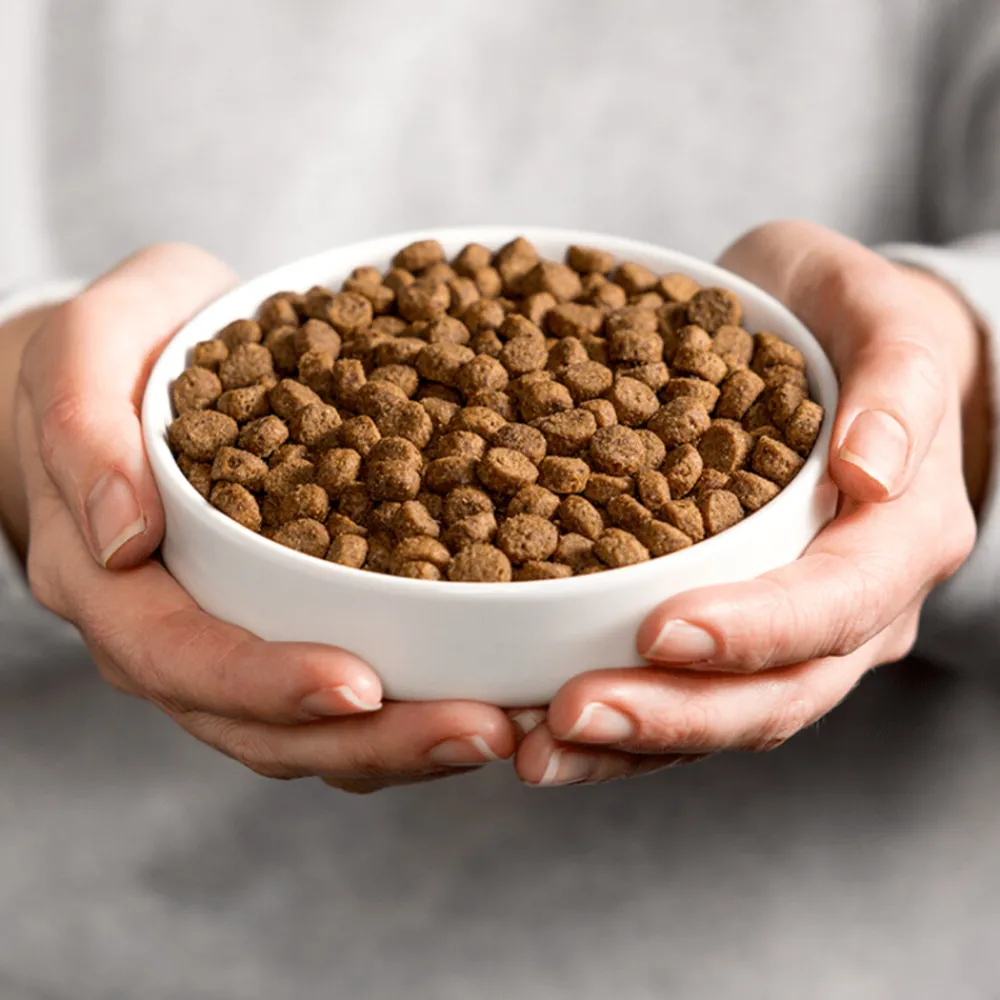 Kattenvoer Sterilised 2 kg^Smolke Best