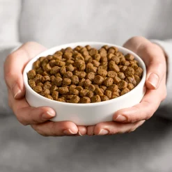 Kattenvoer<Smolke Sensible Kattenvoer 4 kg