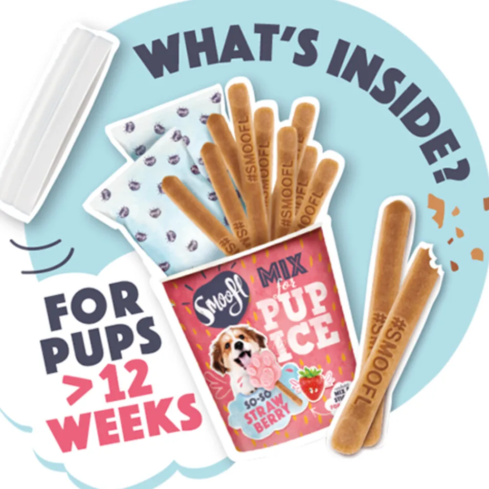 Honden IJsmix Aardbei 160 gr^Smoofl Outlet