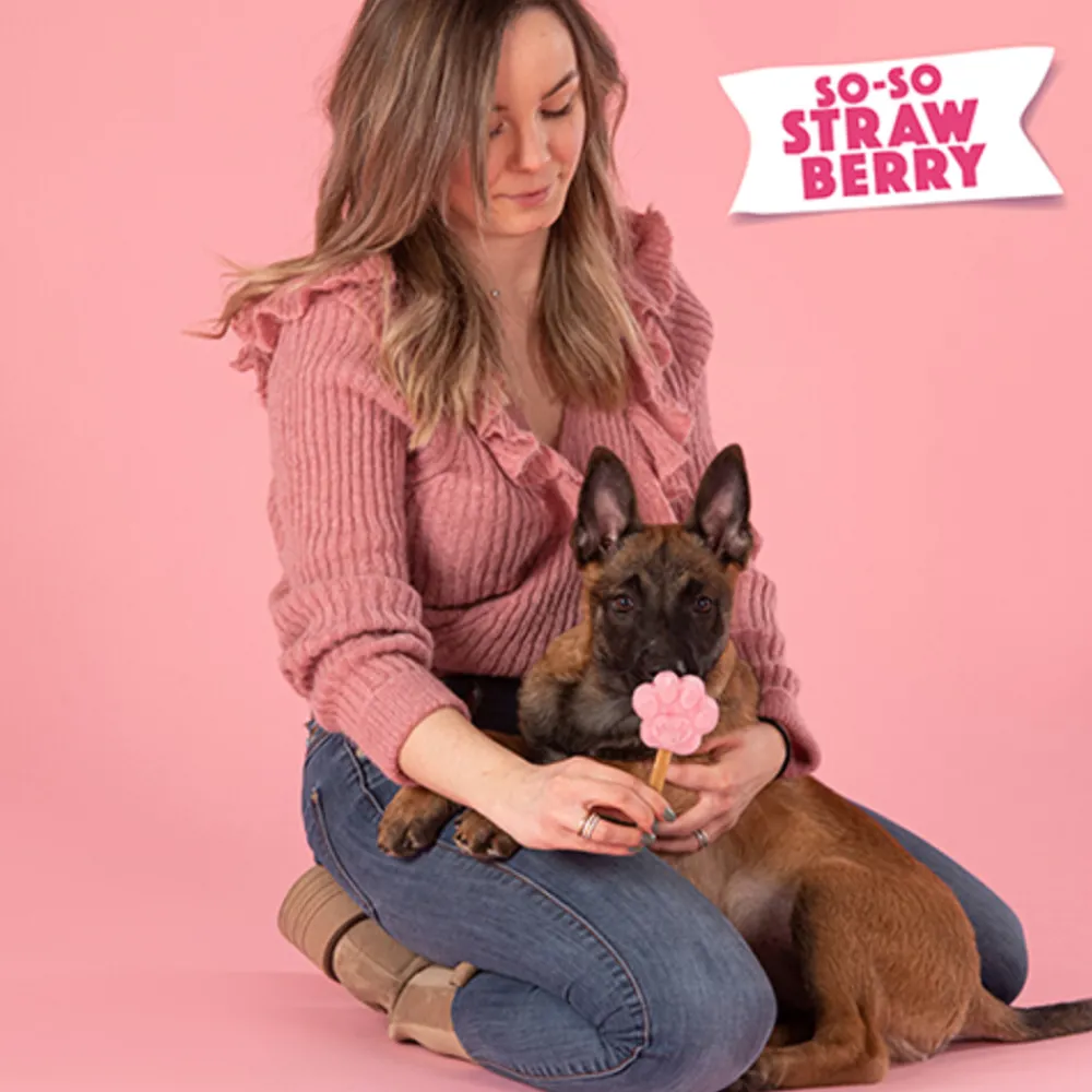 Honden IJsmix Aardbei 160 gr^Smoofl Outlet