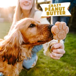 Outlet Honden IJsmix Pindakaas 160 gr Snacks