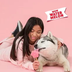Honden IJsmix Watermeloen 160 gr^Smoofl Outlet