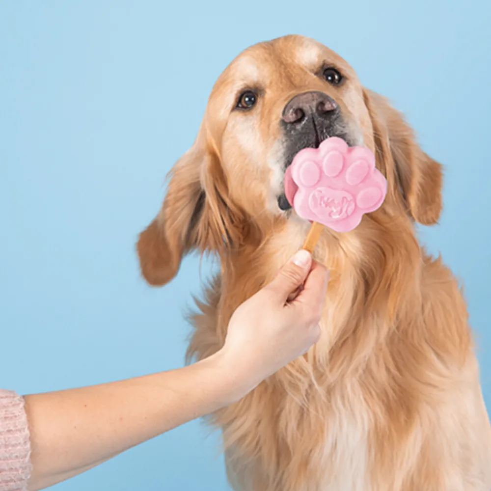 Snacks<Smoofl Starterkit Extra Small