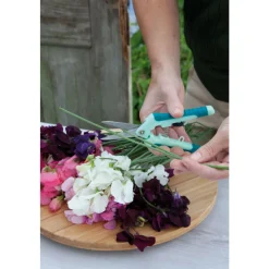 Sale Oogstschaartje Tuingereedschap