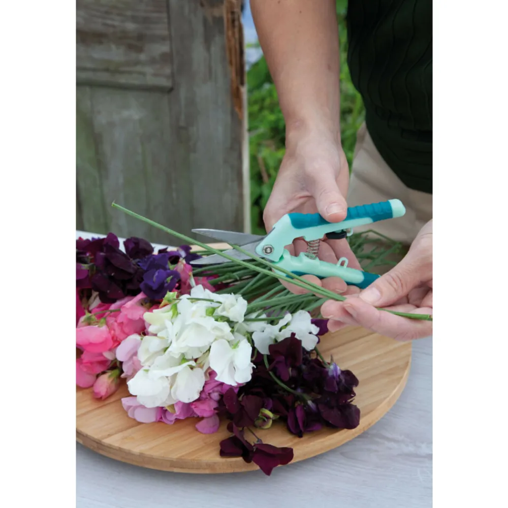 Sale Oogstschaartje Tuingereedschap