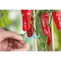 Hot Rubberband met Ijzerdraad 7 m Alles Voor Kamerplanten