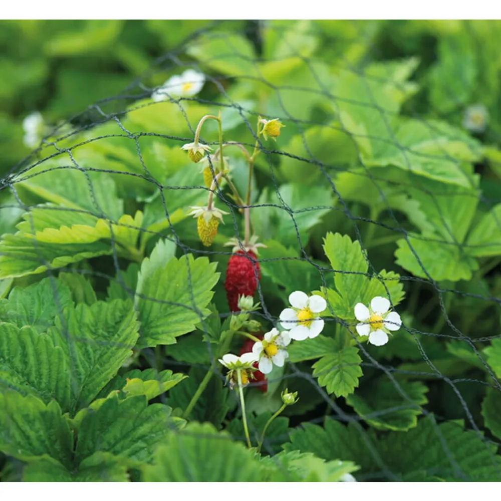 Best Tuinnet 4 x 5 m Kweken En Zaden
