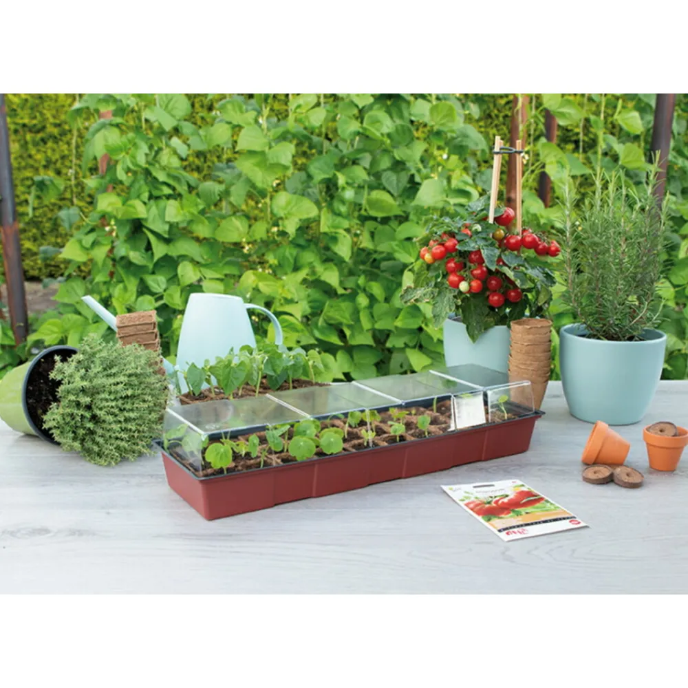 Vensterbank Kweekkas met 30 Turfpotjes^SOGO