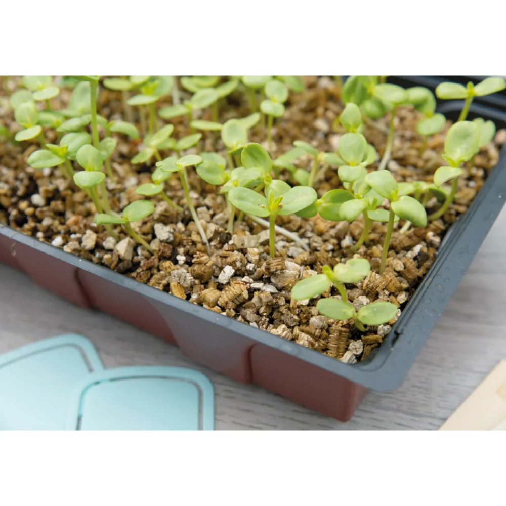 Vermiculiet Potgrond in Doos 3,5 liter^SOGO Clearance