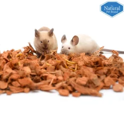 Bodembedekking<The Natural Pet Brand Kokos N Kokos 25 liter