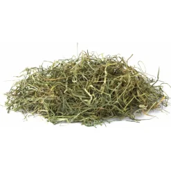 Vita Verde Hooi Kamille 500 gr^Vitakraft Online