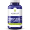 B3 Niacinamide 500 mg 90 capsules^Vitakruid