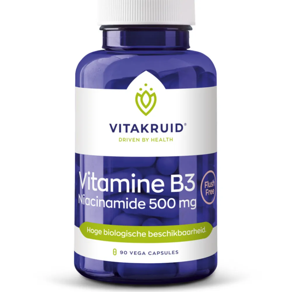 B3 Niacinamide 500 mg 90 capsules^Vitakruid