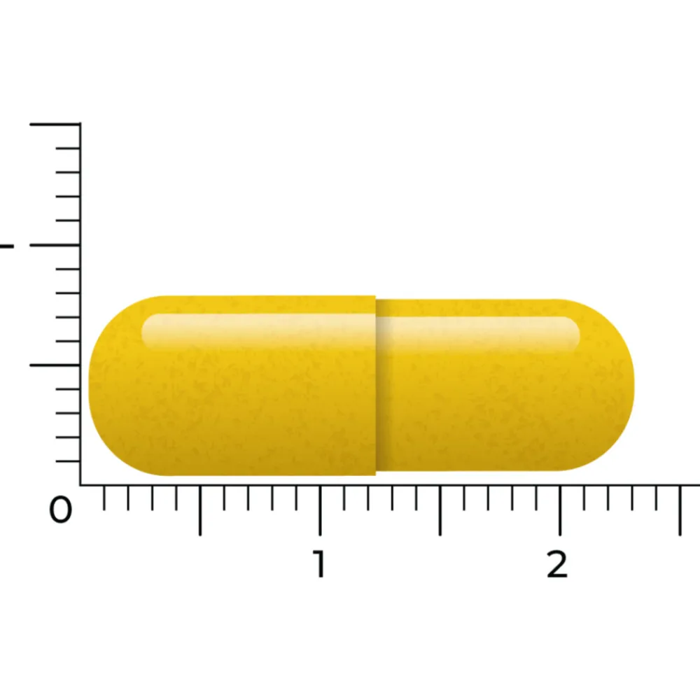 Hart, Bloed & Cholesterol<Vitakruid Berberine 500 Rebersa 60 vegacapsules