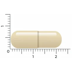 Gebufferde Vitamine C 90 vegacapsules^Vitakruid Online