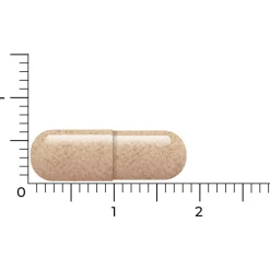 Weerstand & Energie<Vitakruid Lactoferrine 150 mg 60 vegacapsules