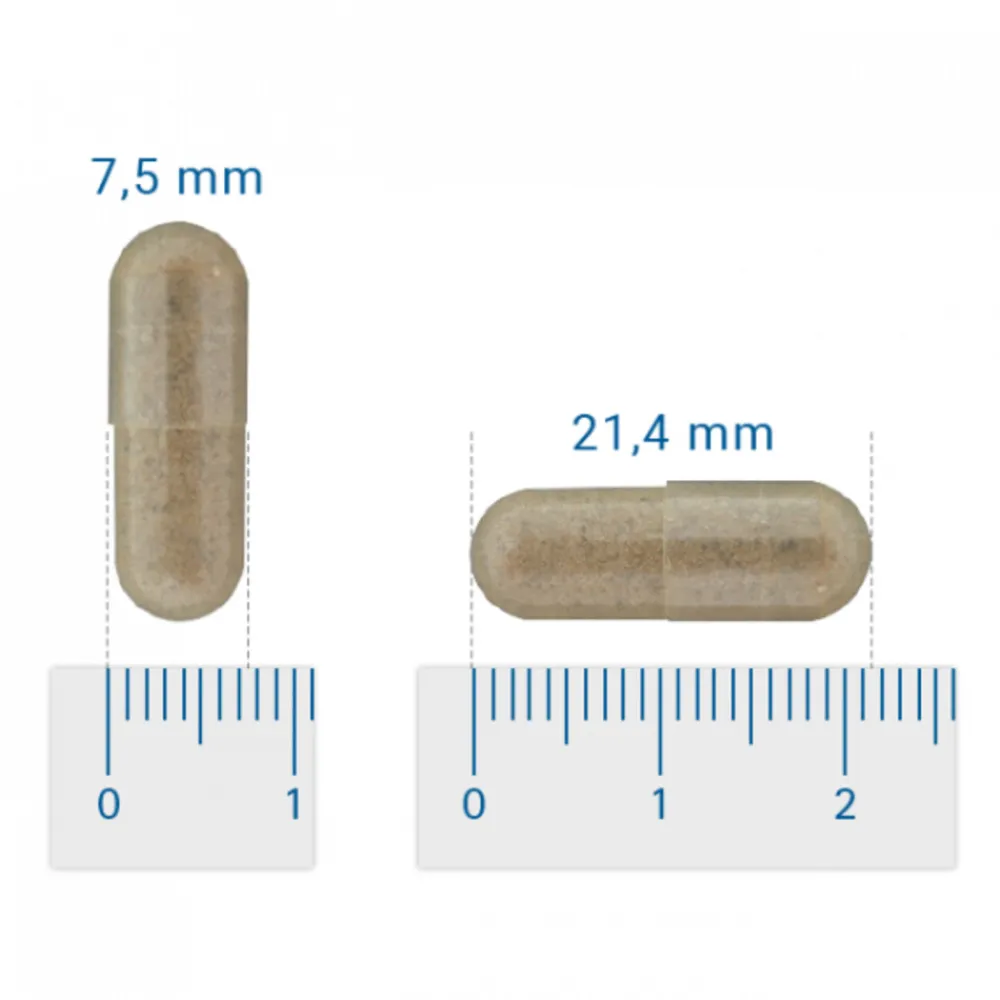 Hart, Bloed & Cholesterol<Vitalize Cholesterol Evenwicht Q10 90 capsules