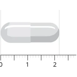 Spieren En Gewrichten<Vitals Boswelia Af 60 capsules